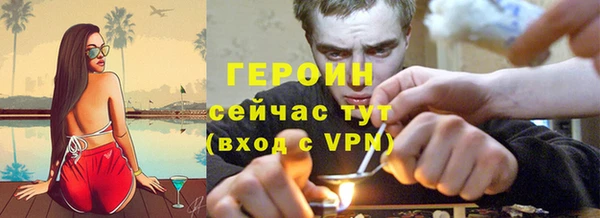 индика Богданович