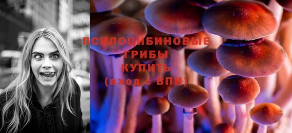 spice Богородицк