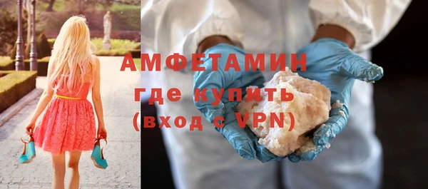 индика Богданович