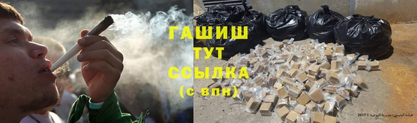 spice Богородицк