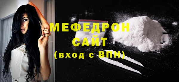 spice Богородицк