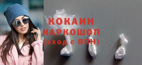 spice Богородицк
