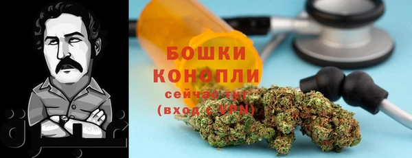 2c-b Богородск