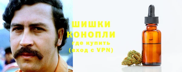 spice Богородицк