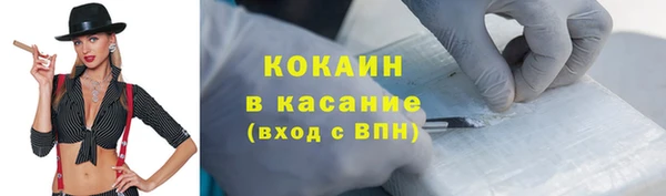 индика Богданович