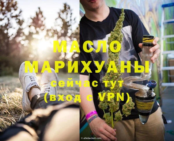 spice Богородицк