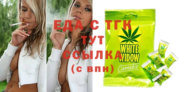 spice Богородицк