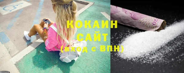 индика Богданович