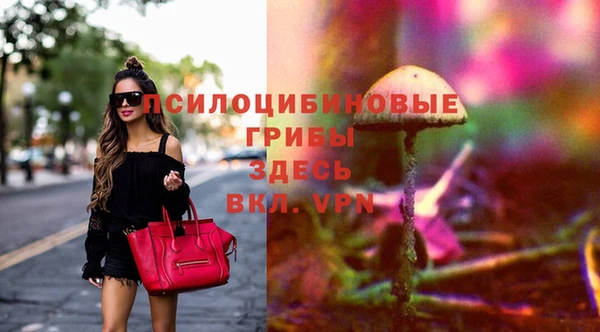 индика Богданович