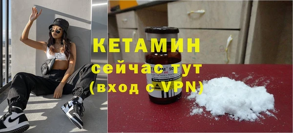 индика Богданович