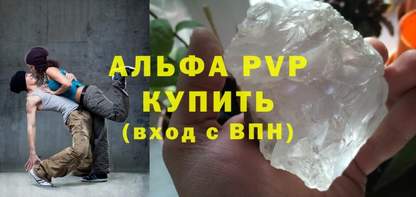 spice Богородицк